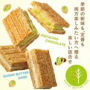 日本Sugar Butter Sand Tree開心果奶油夾心脆餅 #2404